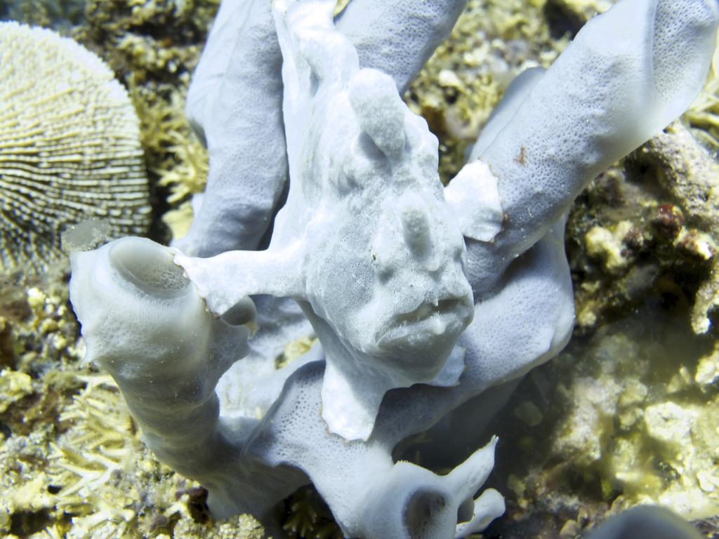 Breathe Villa Meno Gili Meno Εξωτερικό φωτογραφία